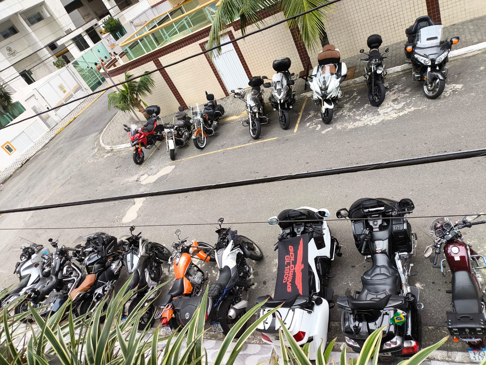 WhatsApp Image 2024-05-18 at 13.33.13.jpeg